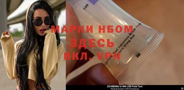 СК Алексин