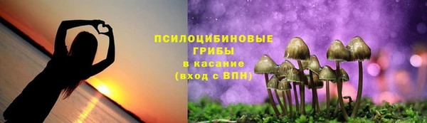 прущая мука Алексеевка
