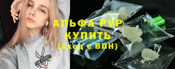 СК Алексин