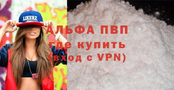 СК Алексин