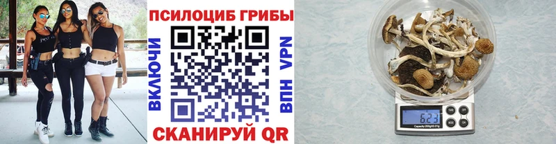 Псилоцибиновые грибы мухоморы Анапа
