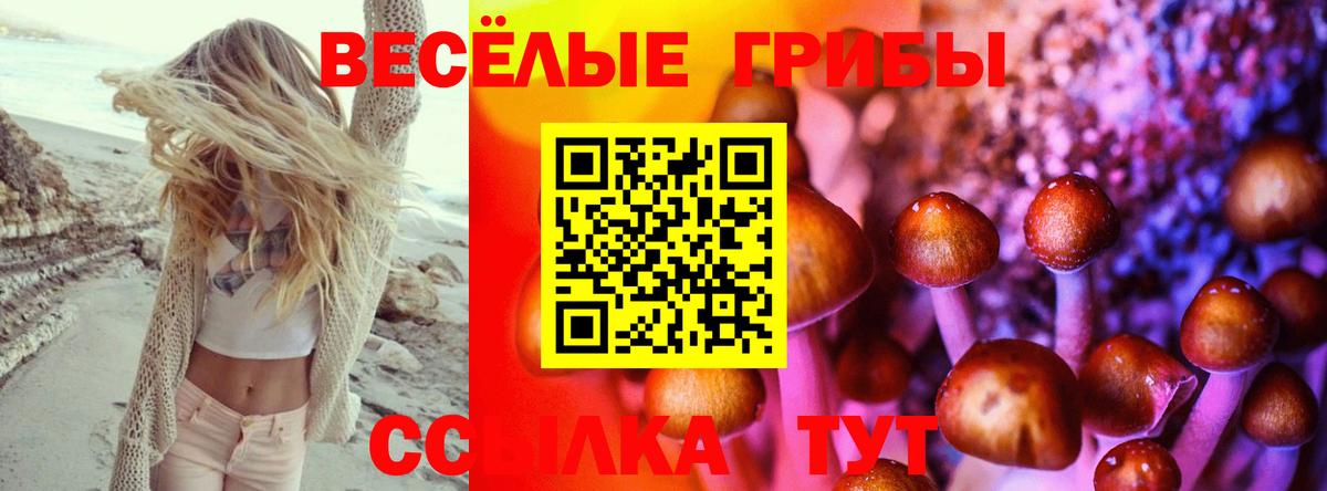 Анапа  Псилоцибиновые грибы ЛСД  Вход с VPN  Псилоцибиновые грибы Cubensis 