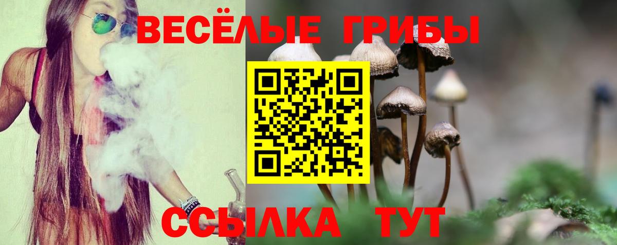 Галлюциногенные грибы Magic Shrooms Анапа